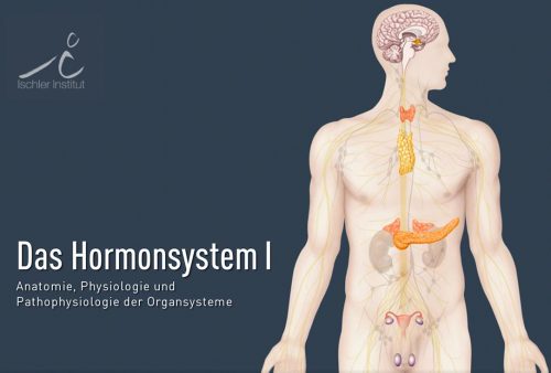 titel-hormonsystem-i
