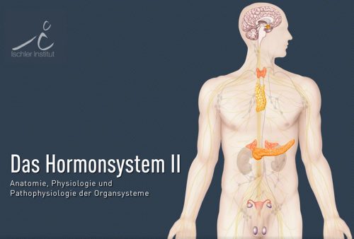 titel-hormonsystem-ii