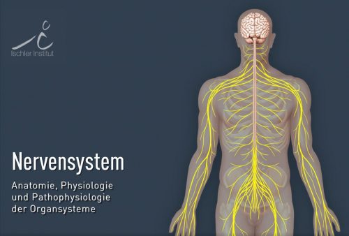 titel-nervensystem